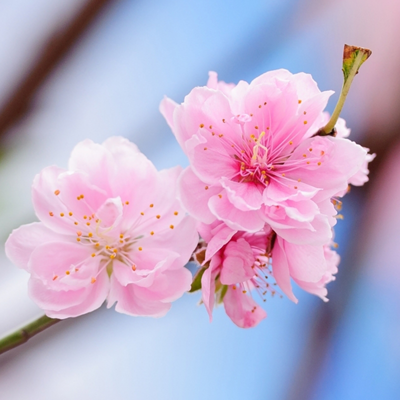 临沂视报